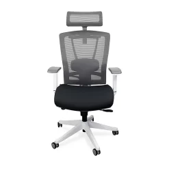 Autonomous ErgoChair Premium Ergonomic Office Chair, White (A75)