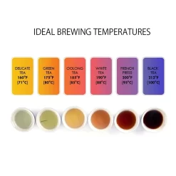 Kenmore Digital Cordless Kettle - 1.7 L - Stainless Steel 15 Kenmore Digital Cordless Kettle - 1.7 L - Stainless Steel -Professional Office Supply Store 15d4a0b9391bf2e40c692f8bebc7dc61bc586e44 square3019215 8