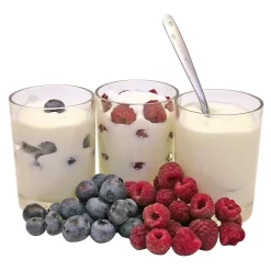 Koolatron Yogurt Maker With 7 Jars (150 Ml) -Professional Office Supply Store 2debf44ee9858f739cb935215ef6eecff767cf65 square1798576 3