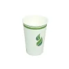 Eco Guardian Compostable PLA-Lined Hot Drink Paper Cups, 16 Oz, 1000 Pack (EG-P-PL-K16-W50)
