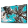 Elunevision 120" 16:9 Reference 4K Slim Fixed-Frame Screen