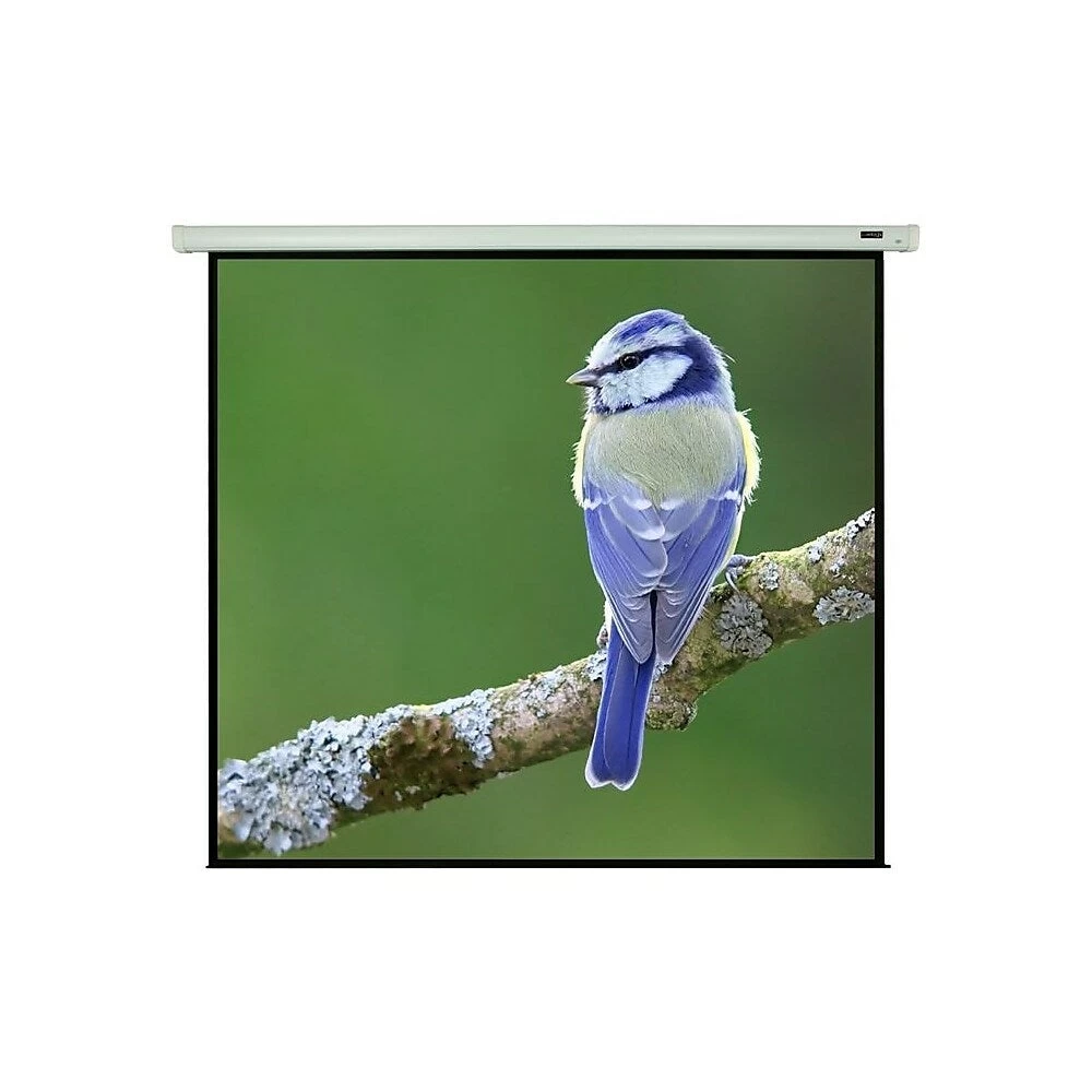 EluneVision Luna Motorized Screen, 84" X 84" 1 EluneVision Luna Motorized Screen, 84" X 84"