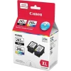 Canon® Canon PG-245XL/CL-246XL Ink Cartridges, Black And Colour, 2 Pack
