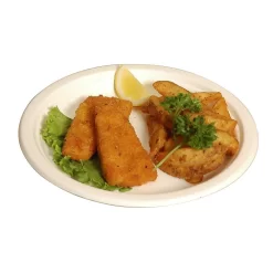 Eco Guardian Compostable Bagasse Plates, 10", 500 Pack (EG-N-A005)